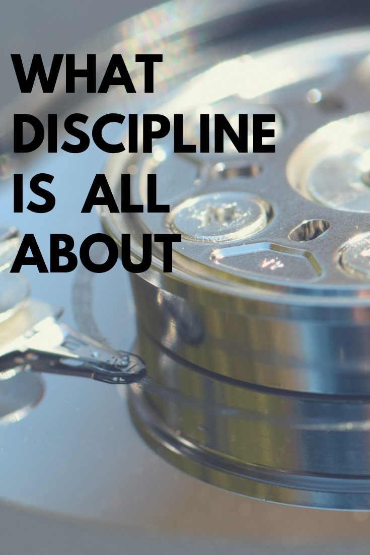 WHAT DISCIPLINE IS ALL ABOUT