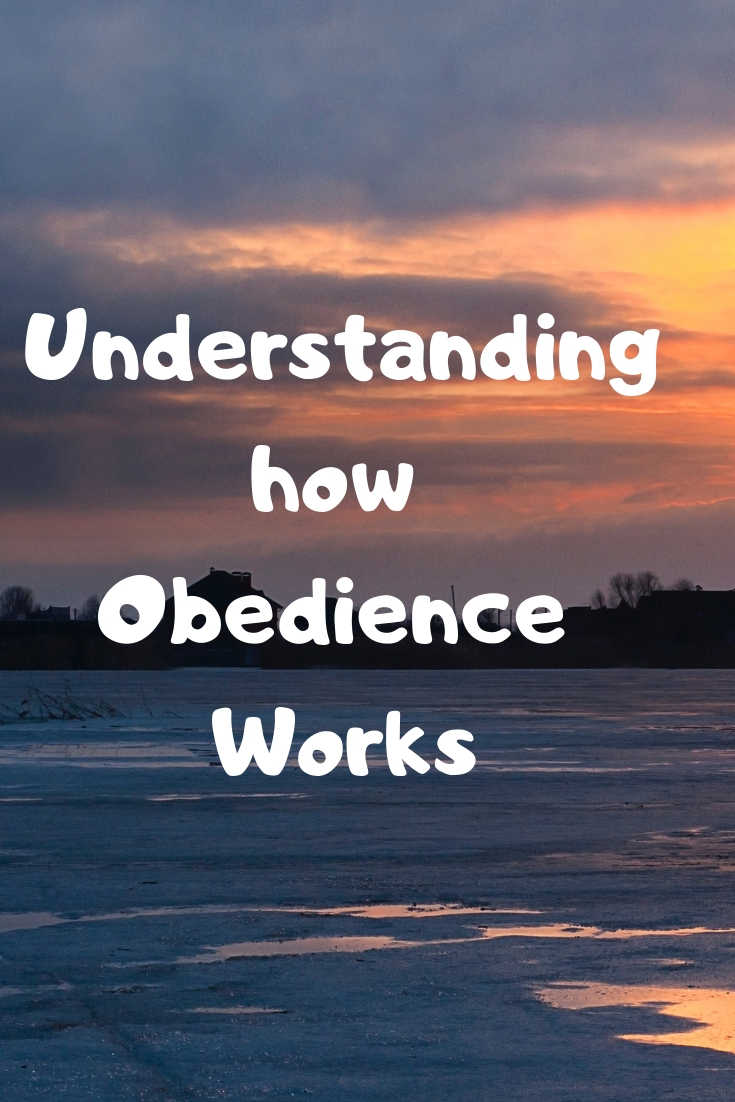 Understanding how Obedience Works