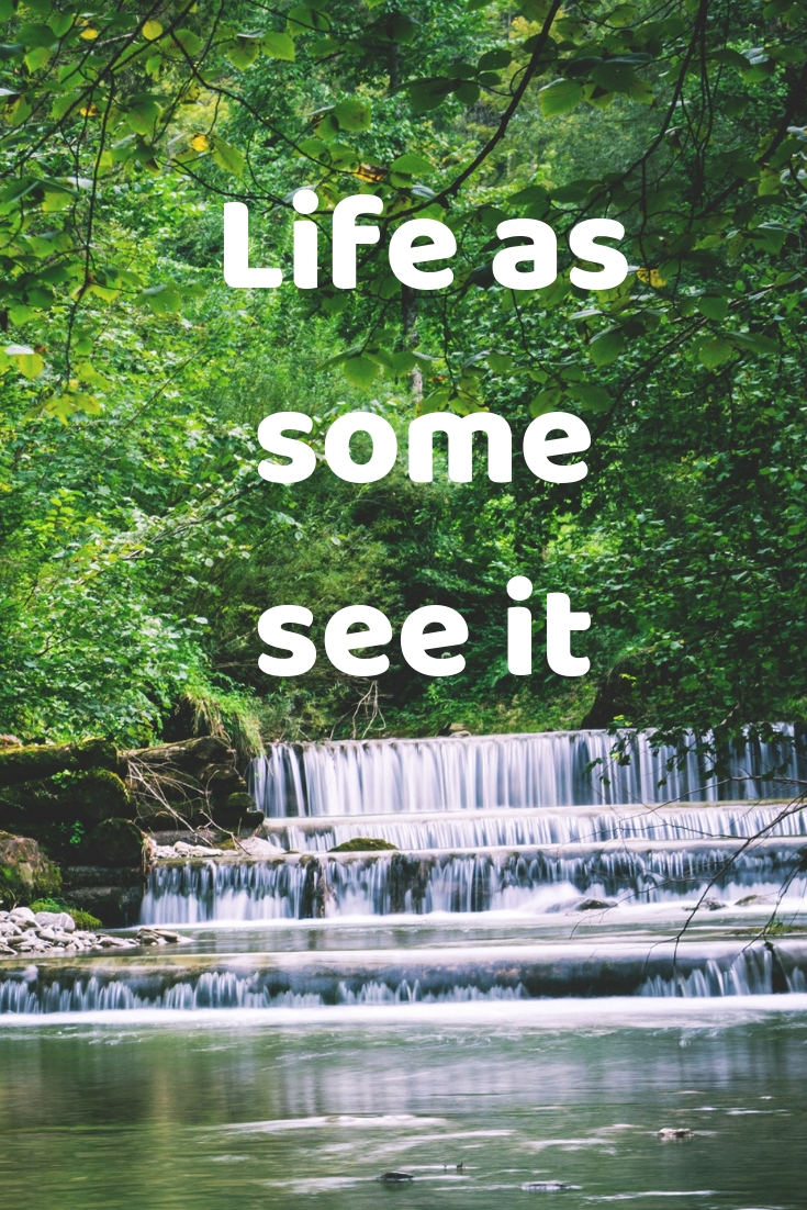 Life as some see it