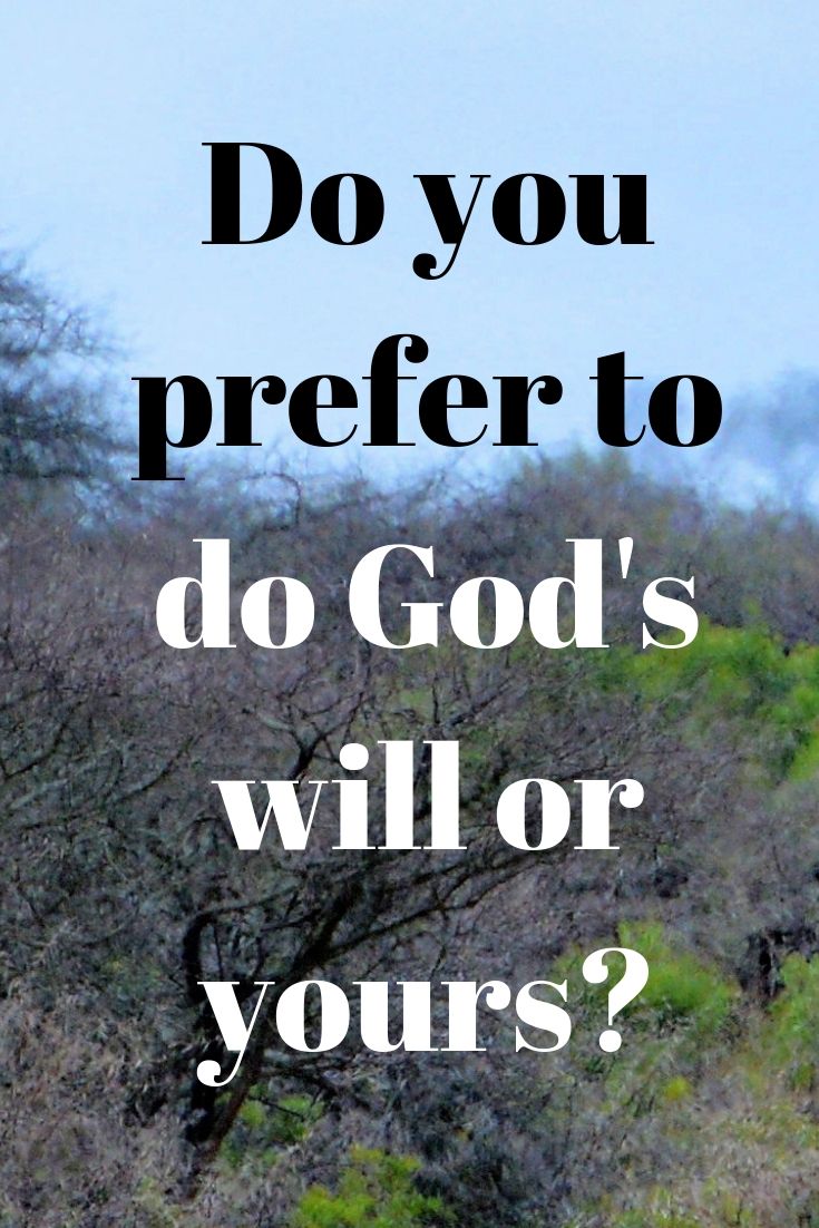 Assignment: Do you prefer to do God’s will or yours?