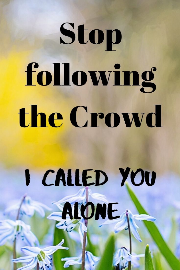 Stop following the Crowd (I called you alone)