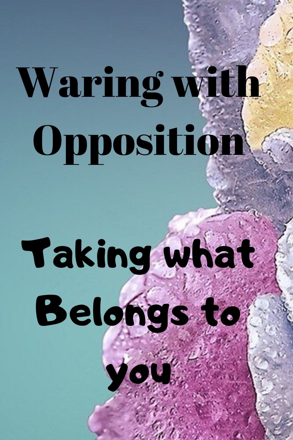 War: Waring with oppositions: Taking what belongs to you ll