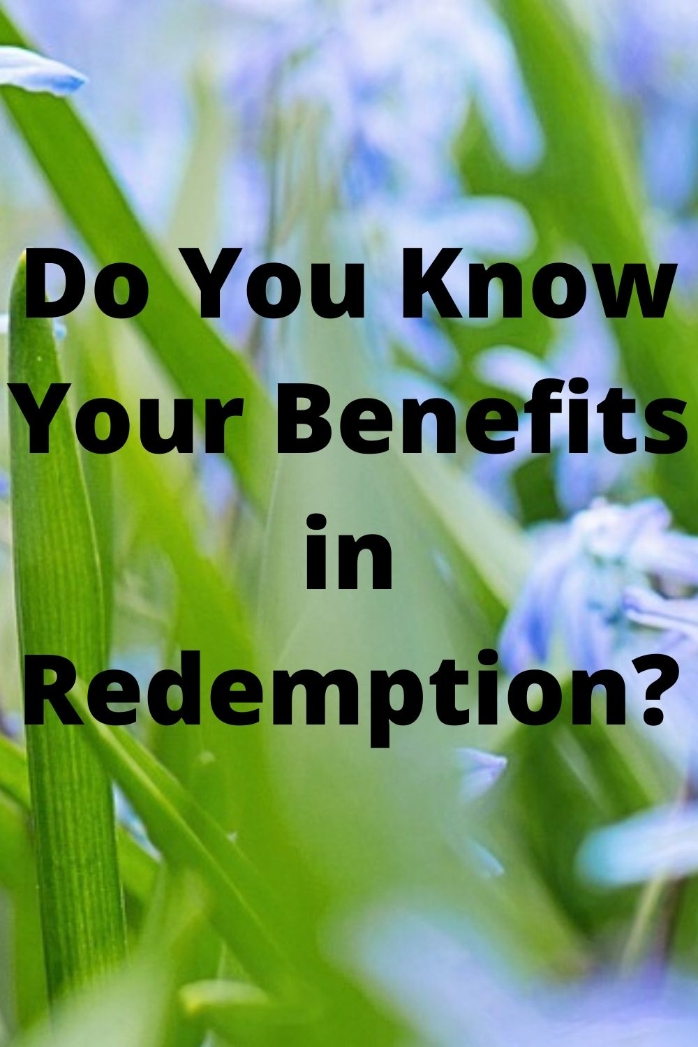 Ambassador: Do You Know Your Benefits in Redemption_