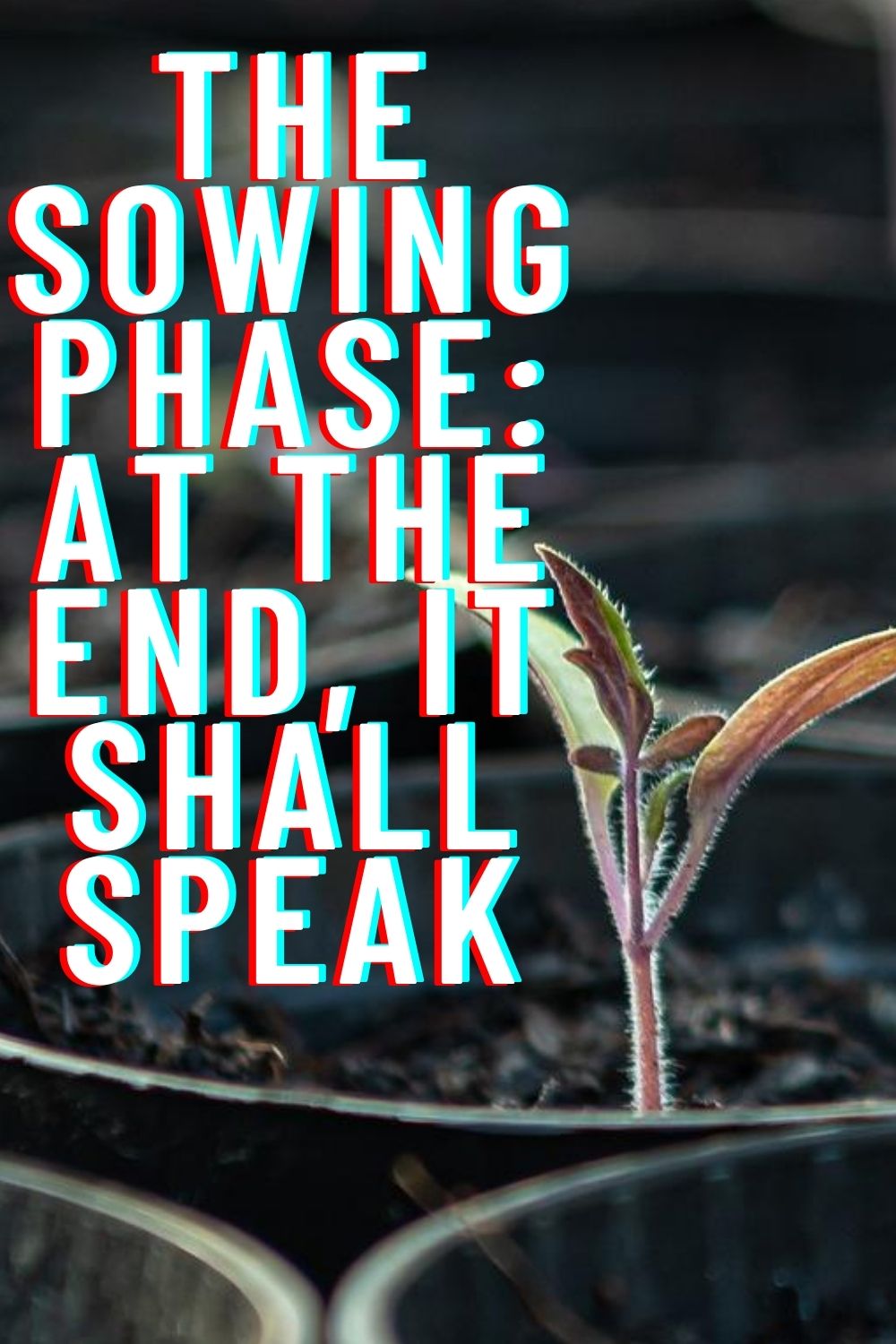 The Sowing phase_ At the end, it shall speak