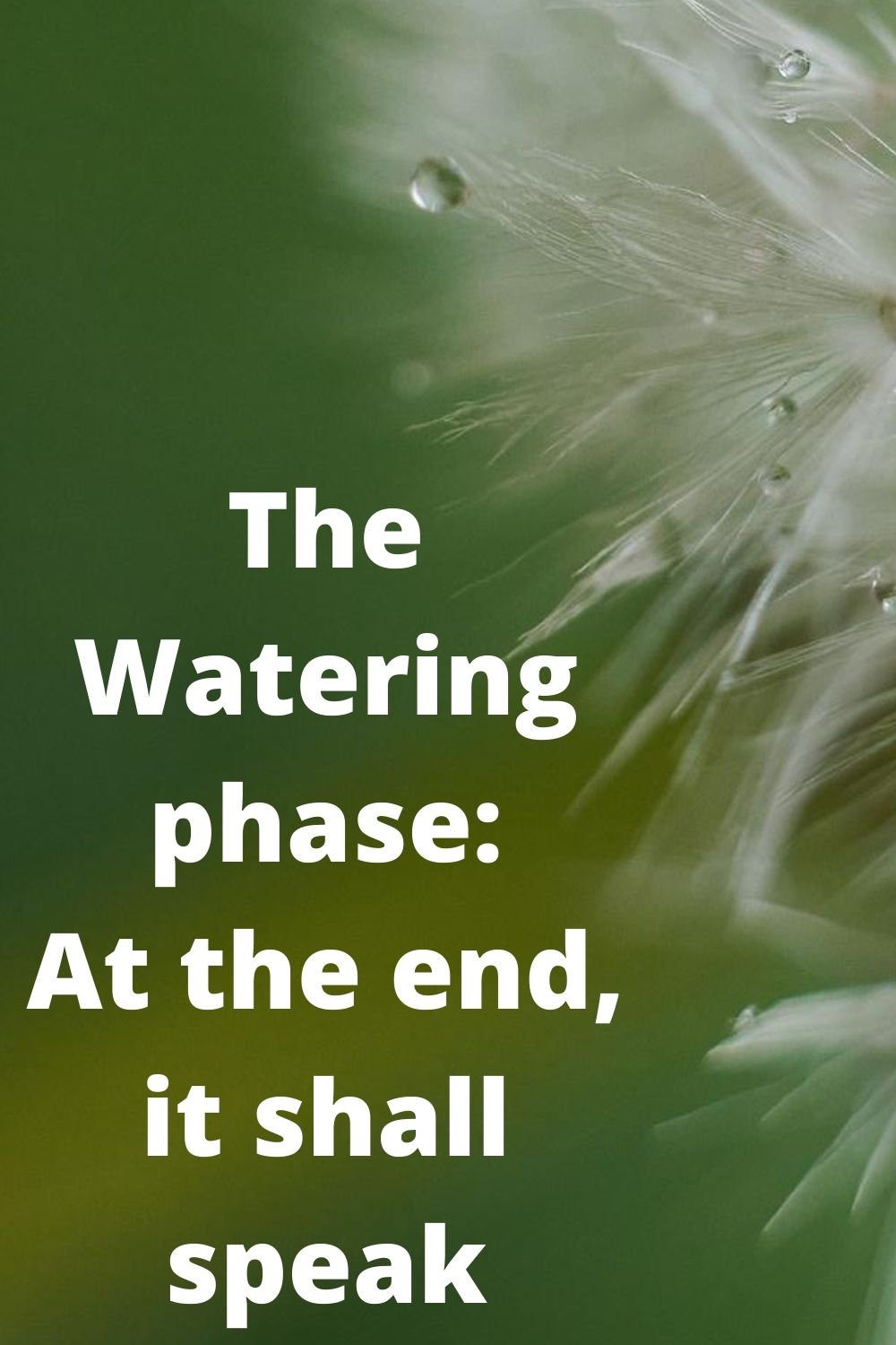 The Watering phase_ At the end, it shall speak