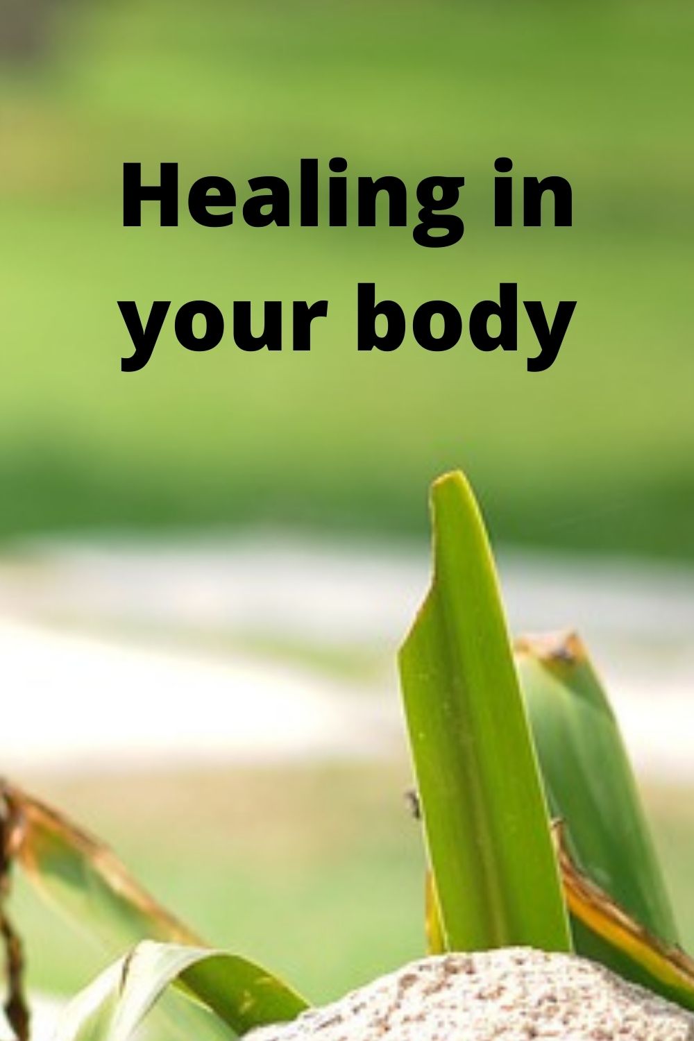 Healing in your body