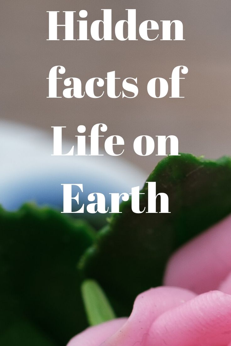 Hidden facts of Life on Earth